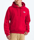TNF Evolution Box NSE Hoodie