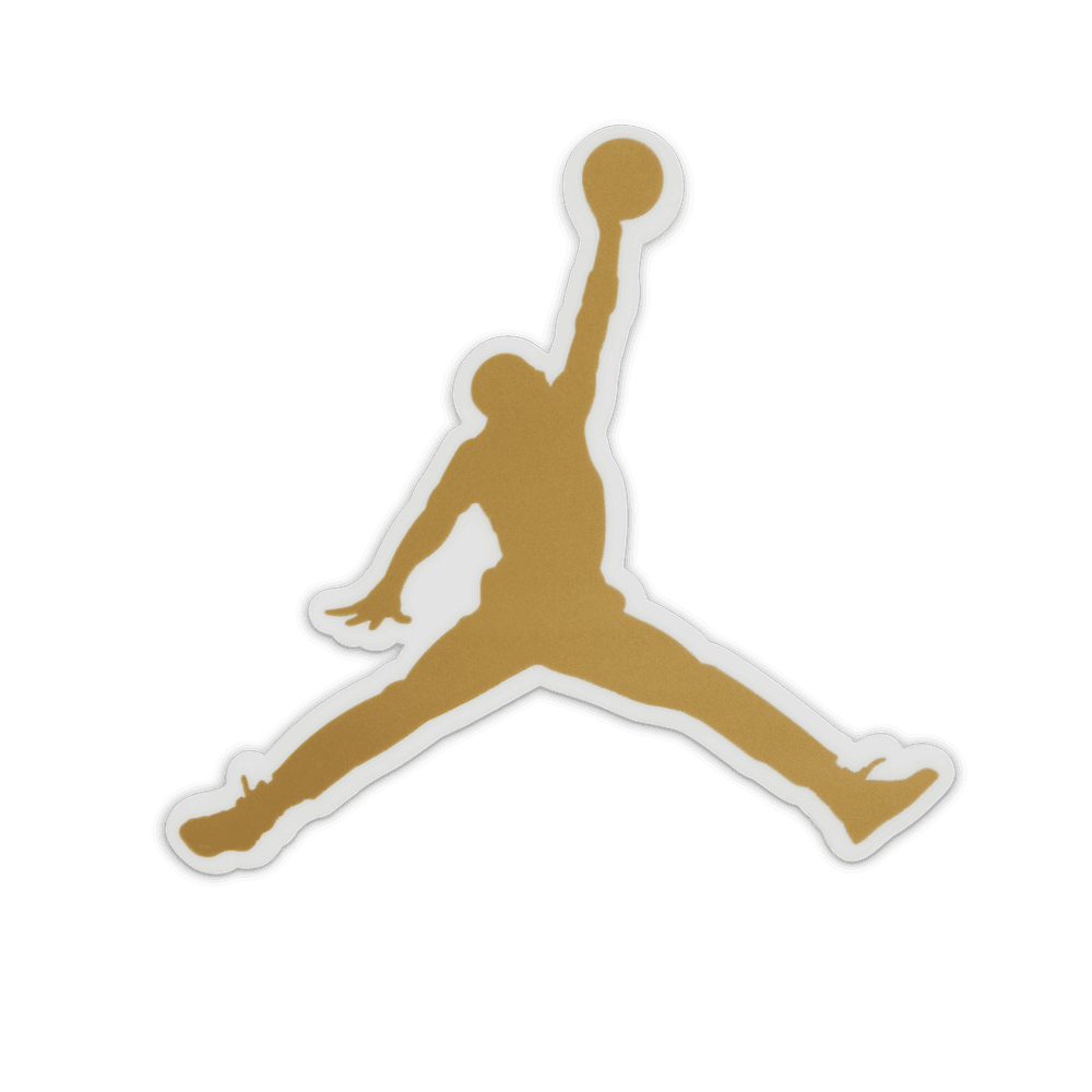 GS Air Jordan Spizike Low SE